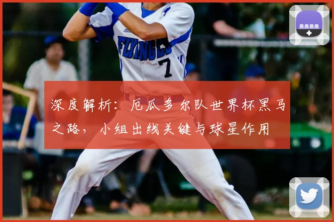 深度解析:厄瓜多尔队世界杯黑马之路,小组出线关键与球星作用