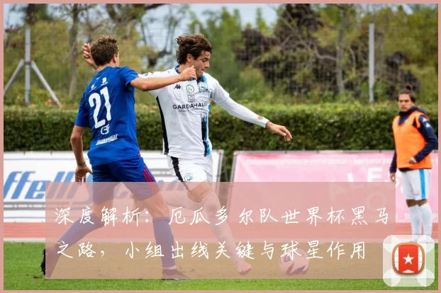 深度解析:厄瓜多尔队世界杯黑马之路,小组出线关键与球星作用
